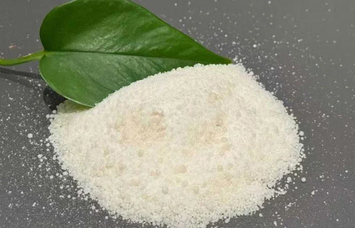 Zərif Buz Döyüşçüsü